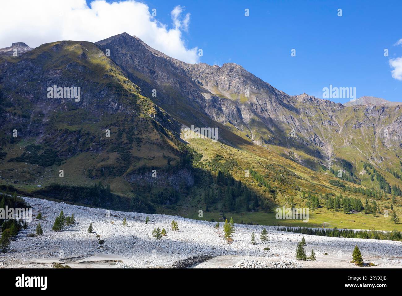 Accumulation de débris après tempête à Kolm Saigurn, Rauriser Tal, Rauris, Parc National Hohe Tauern, Pinzgau, Salzburger Land, Autriche Banque D'Images