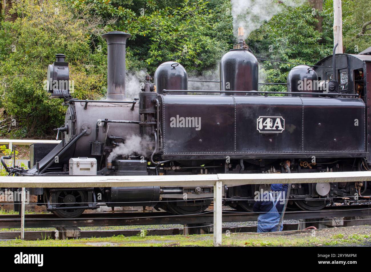 Train à vapeur Puffing Billy, Gembrook Australie Banque D'Images
