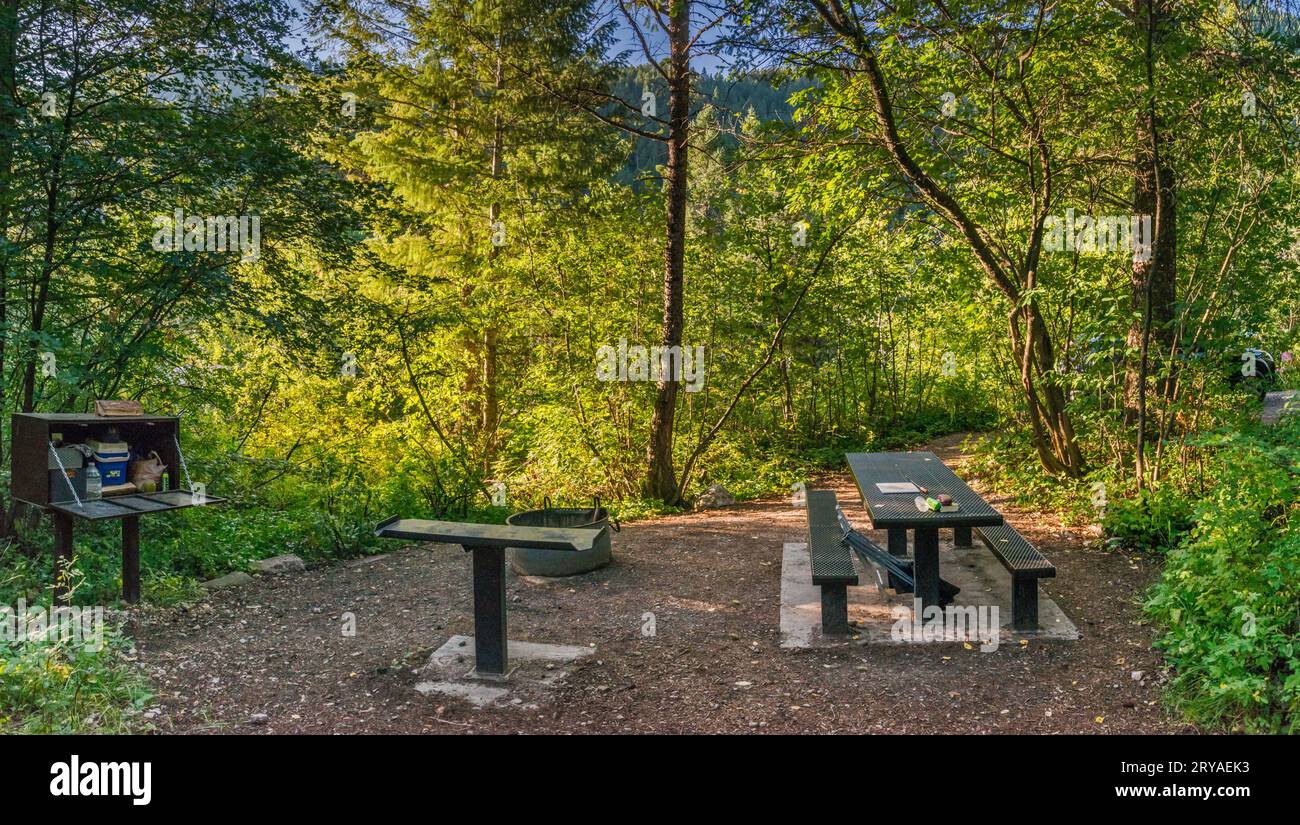 Table de pique-nique, boîte à ours au camping, terrain de camping Big Elk Creek, près du réservoir Palisades, Snake River Range, Greater Yellowstone Rockies, Idaho, ÉTATS-UNIS Banque D'Images