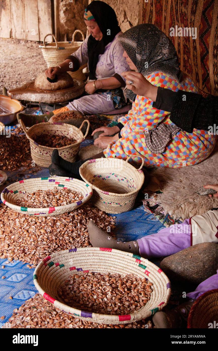 Femmes marocaines fissurant à la main des coquilles de noix dans un village berbère au Maroc Mars 2012 Banque D'Images