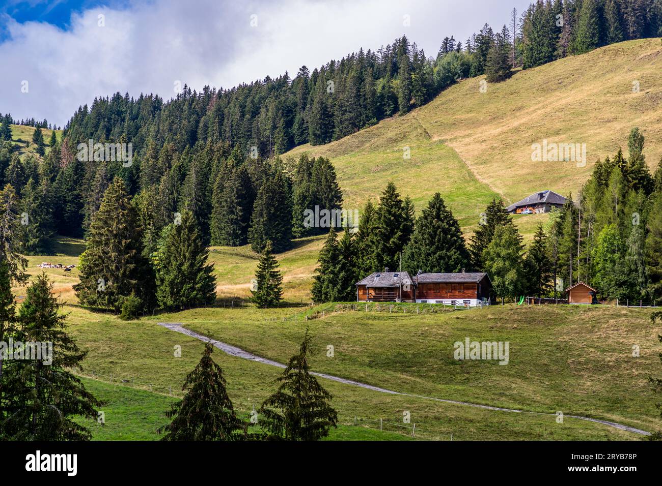 Deux cabanes en bois à la localité A la Bliantsârda se trouvent en contrebas d'une pâturage alpin ensoleillé le long du Sentier des Fromageries près de Gruyères, canton de Fribourg, Suisse, avec un chalet visible en arrière-plan. Le sentier passe devant 20 fromageries alpines. Banque D'Images