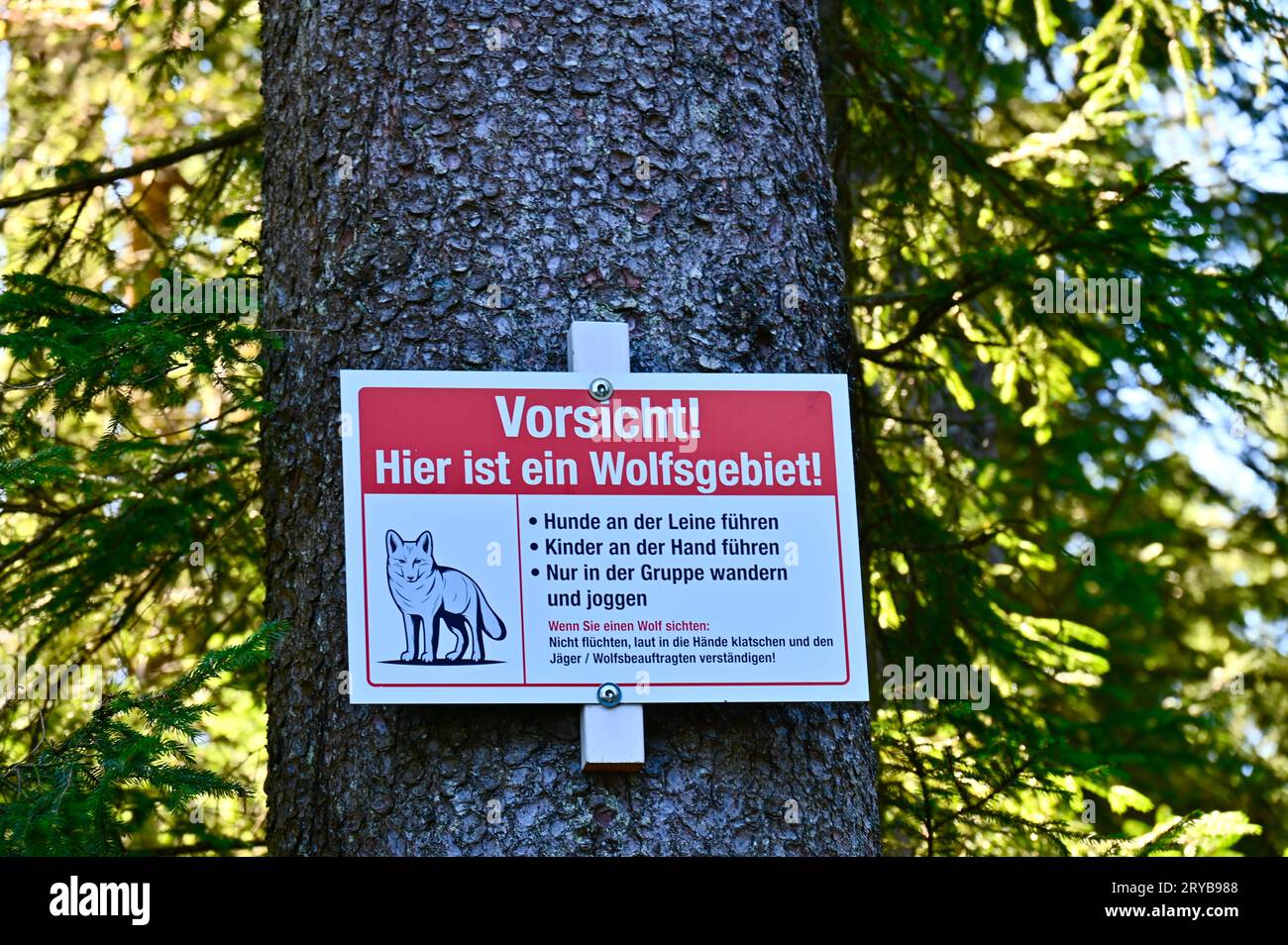 Panneau d'avertissement dans la Forêt Noire en Allemagne indiquant que l'on est dans la région de een Wolf Banque D'Images