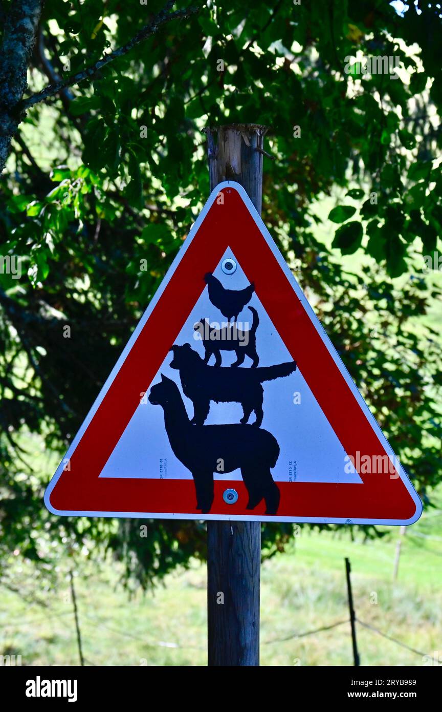 Panneau d'avertissement avec icônes d'un chien lama (ou alpaga), chat et poulet dans une ferme avec ces animaux, Balck Forest, Allemagne Banque D'Images