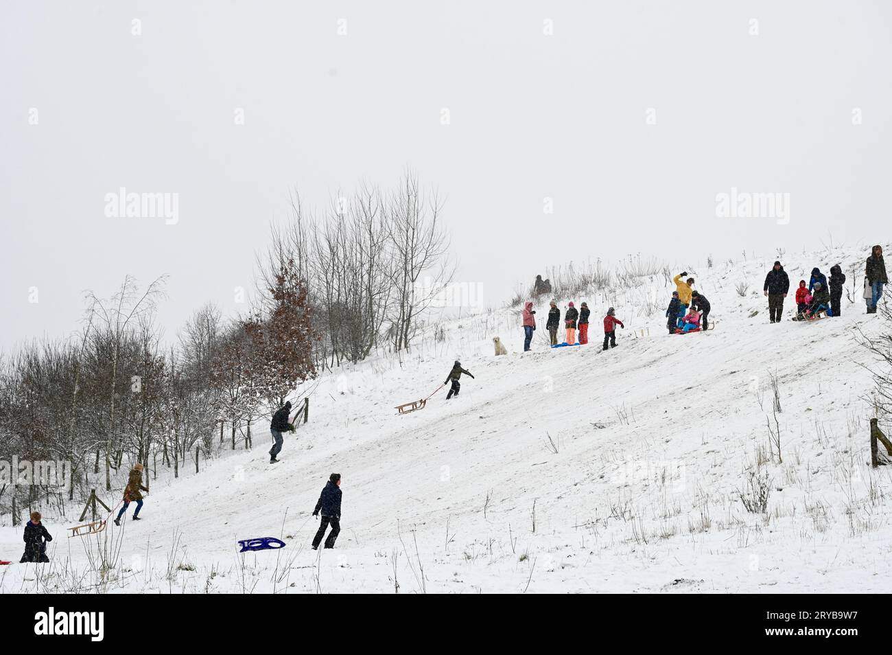 Amusement hivernal en Brabant les enfants descendent une pente avec leur traîneau pendant que d'autres regardent ou se joignent à la préparation d'un départ Banque D'Images