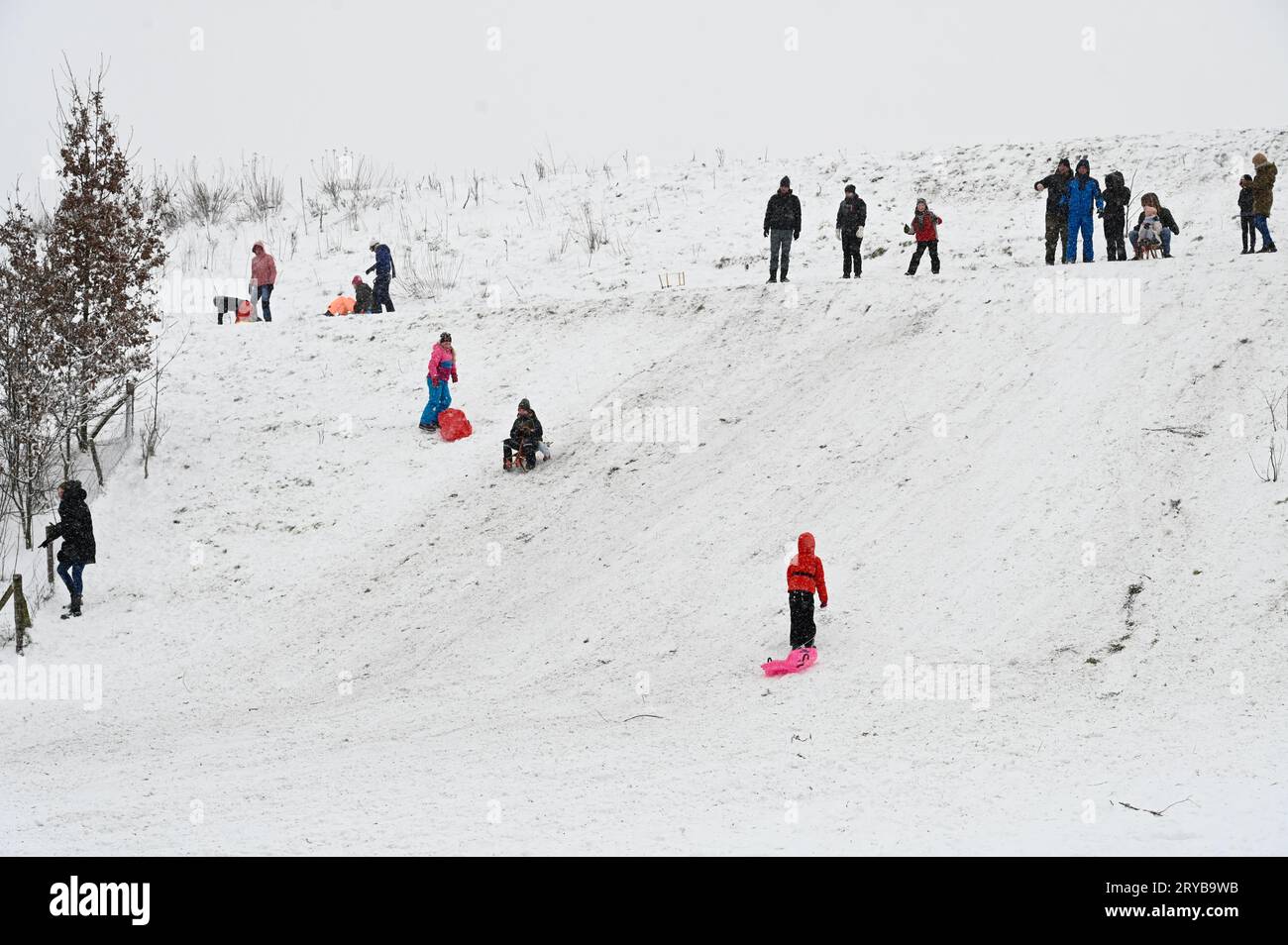 Amusement hivernal en Brabant les enfants descendent une pente avec leur traîneau pendant que d'autres regardent ou se joignent à la préparation d'un départ Banque D'Images