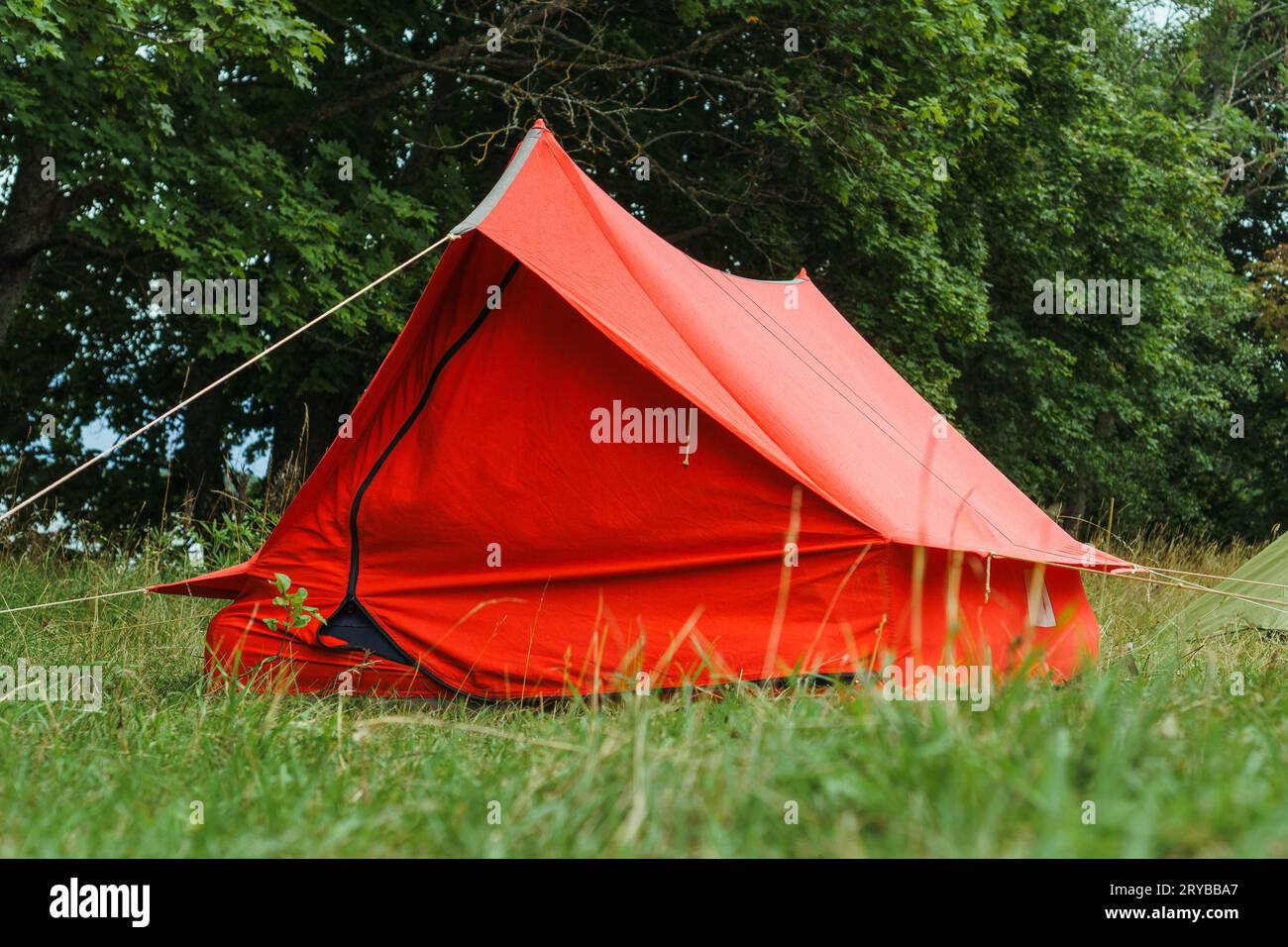 Tente de camping moderne debout fièrement sur le champ vert devant les arbres, attaché avec des cordes à la terre et prêt à se livrer à la nuit d'été paisible dans Banque D'Images