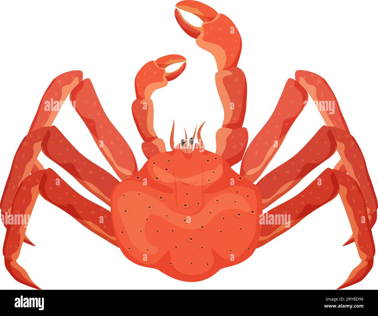 Crabe rouge aux fruits de mer. Crustacé marin, illustration vectorielle de dessin animé de cuisine de fruits de mer saine Illustration de Vecteur