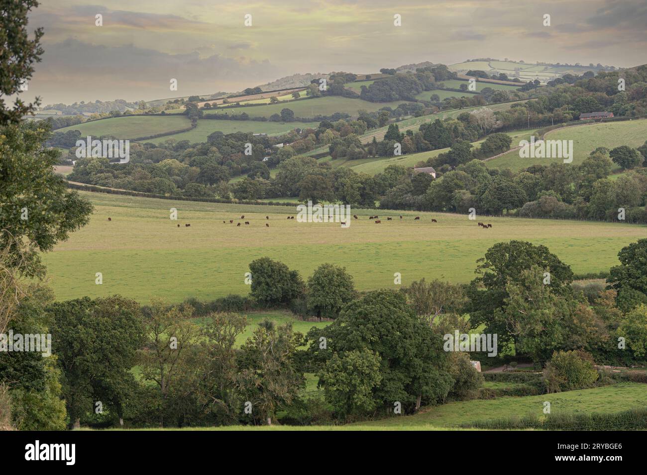 Superbe vue panoramique sur la campagne au Royaume-Uni Banque D'Images