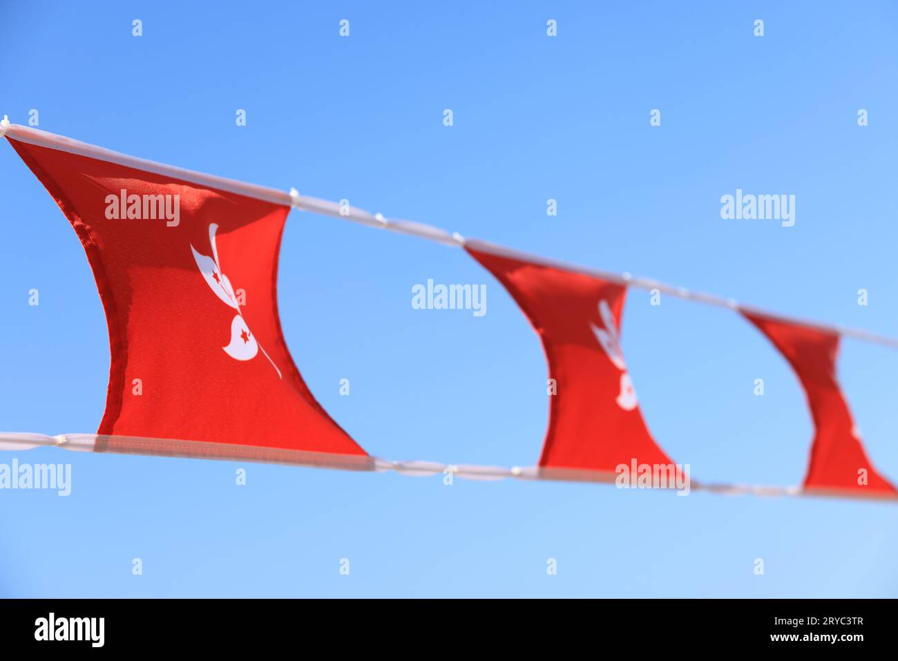 Drapeau chinois et hongkongais installé dans l'événement pour célébrer le 74 e anniversaire de la fête nationale de la République populaire de Chine au marché de Sheung WAN, Hong Kong Banque D'Images