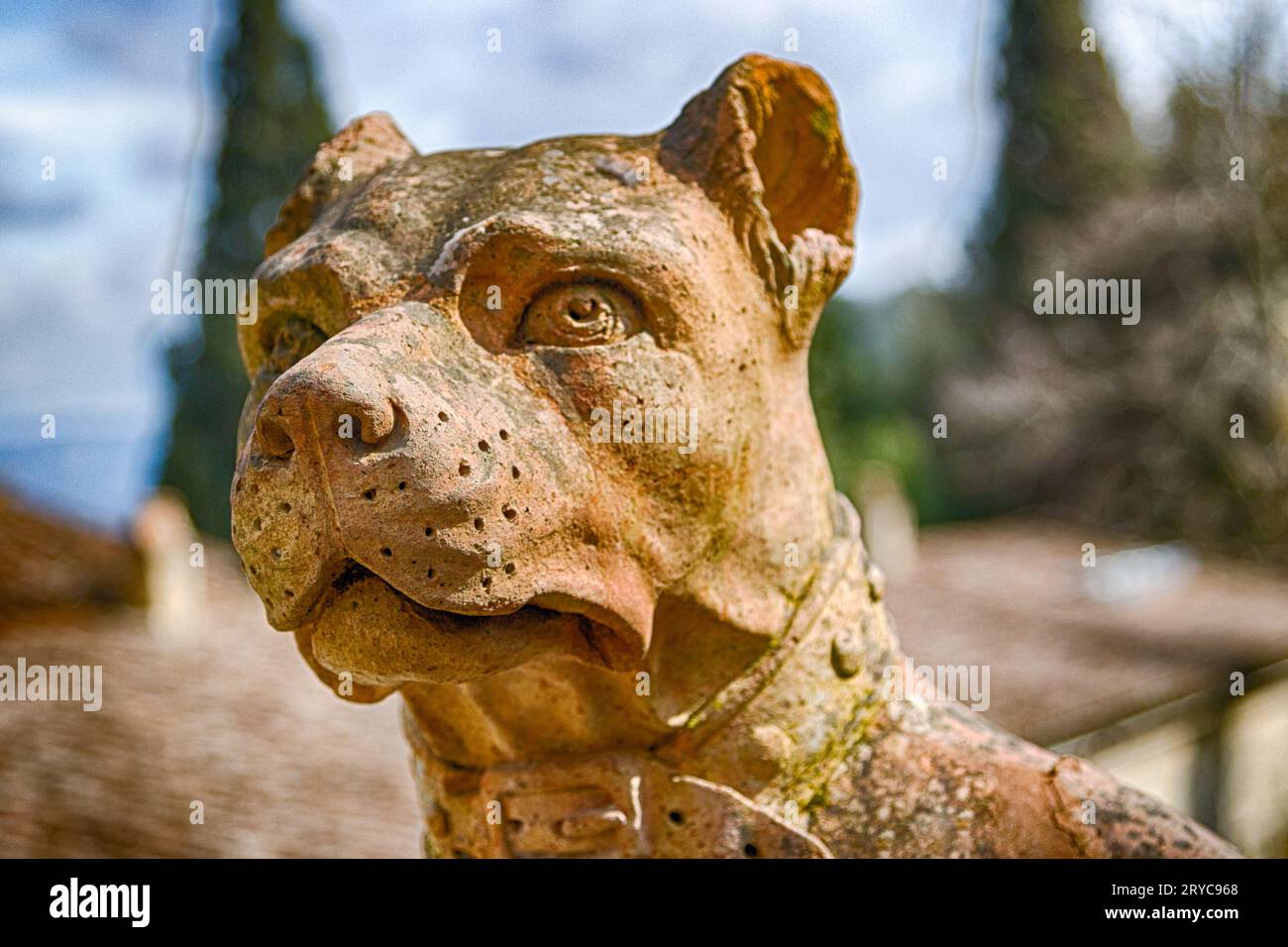 Sculpture maussade et méfiante de chien Banque D'Images