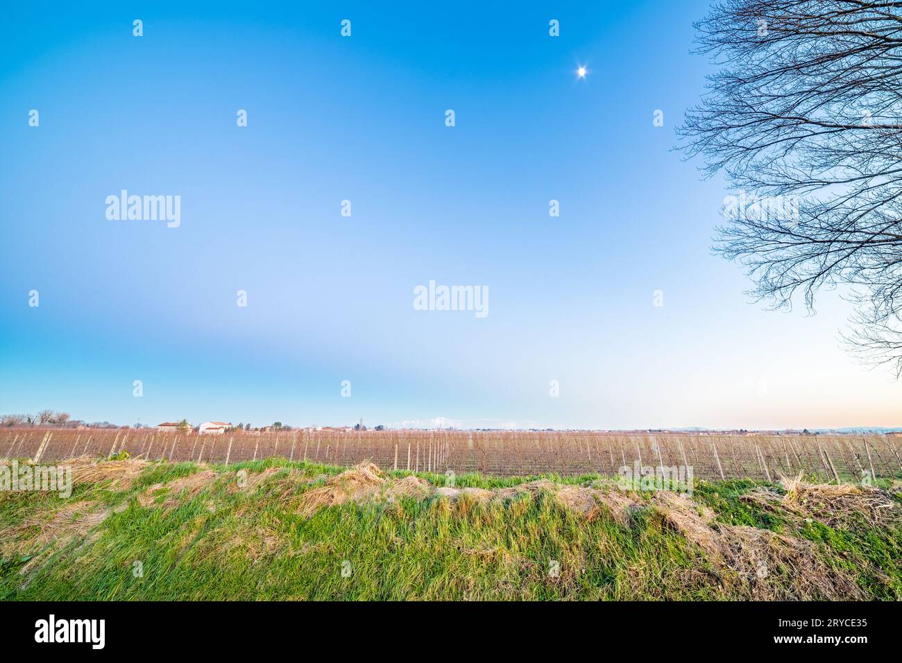 Les champs cultivés Banque D'Images