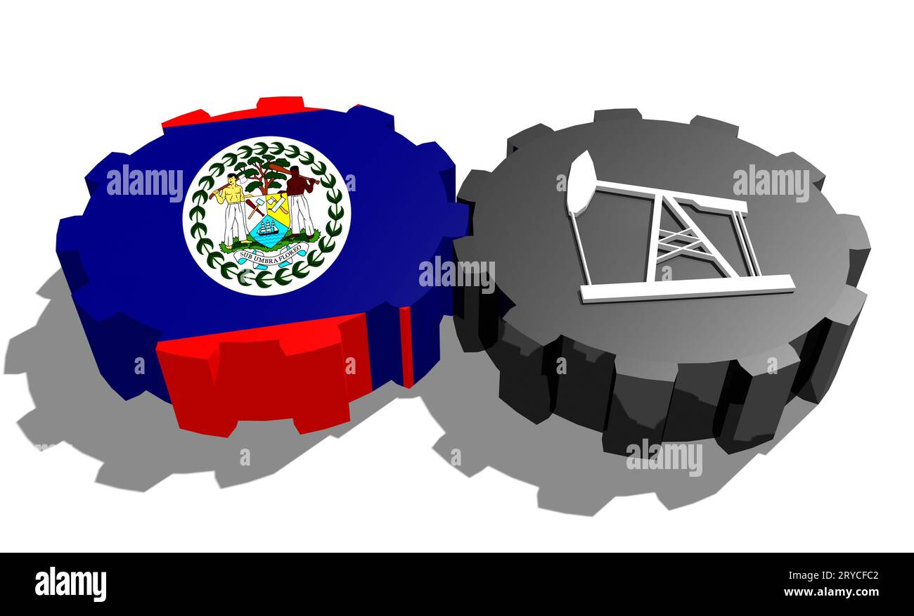 Engrenage avec pompe à huile texturée par le drapeau Belize Banque D'Images