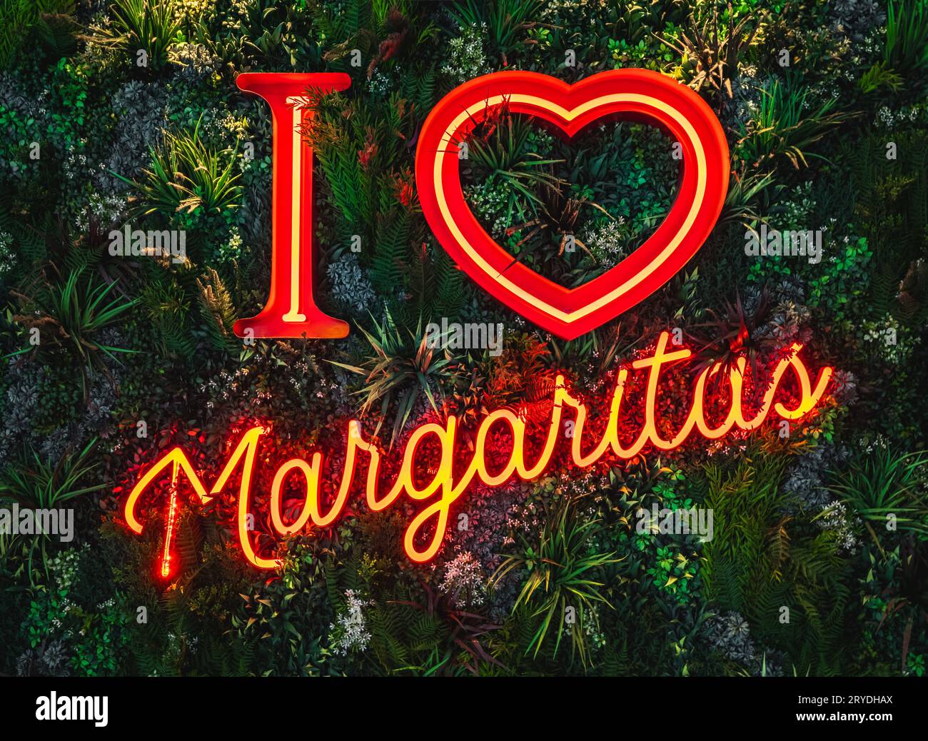 Un panneau néon rouge vibrant et coloré à l'extérieur d'un bar à cocktails annonçant des cocktails I Heart Margarita sur un fond de mur vivant Banque D'Images