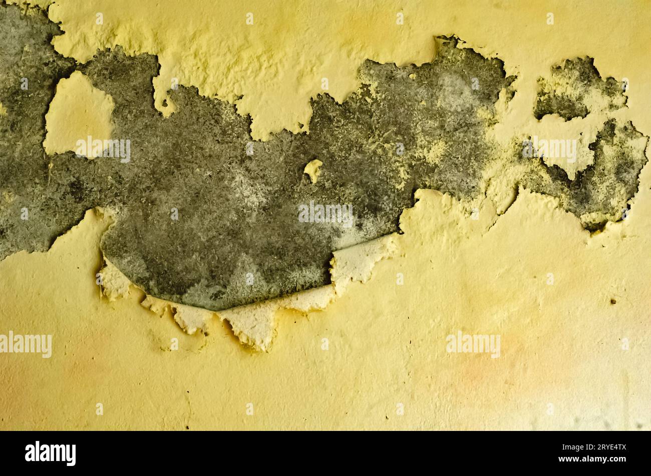 Décapage de peinture sur le mur Banque D'Images
