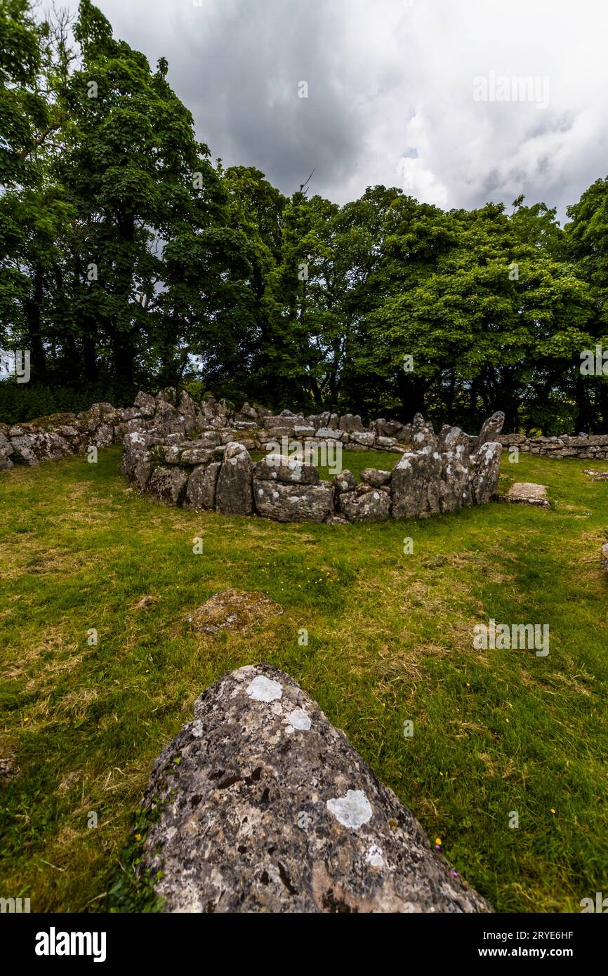 Cercle de cabanes dans les vestiges de DIN Lligwy, ou village antique de DIN Llugwy, près de Moelfre, Anglesey, Galles du Nord, Royaume-Uni, portrait, large, angle, pierre en foregroun Banque D'Images