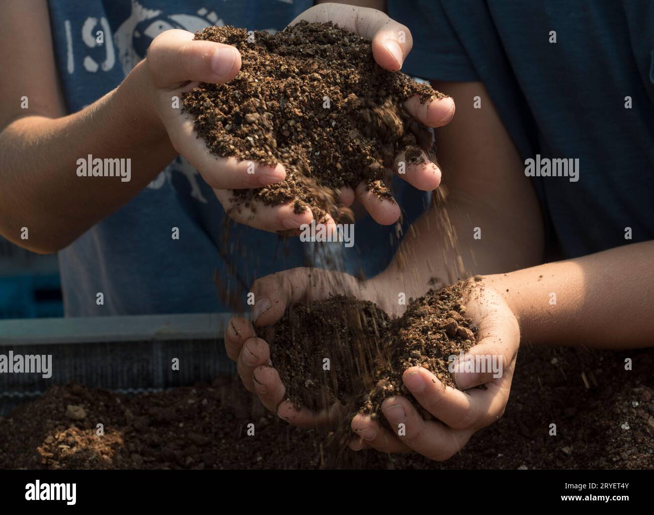 Tenir la terre et l'humus en main Banque D'Images