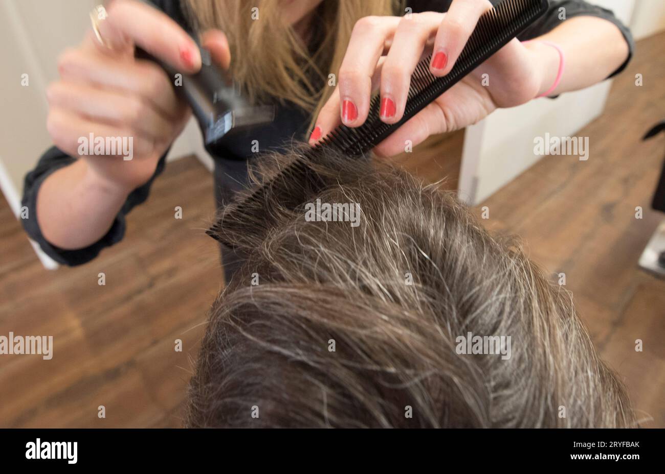 Homme plus âgé avec les cheveux gris Banque D'Images