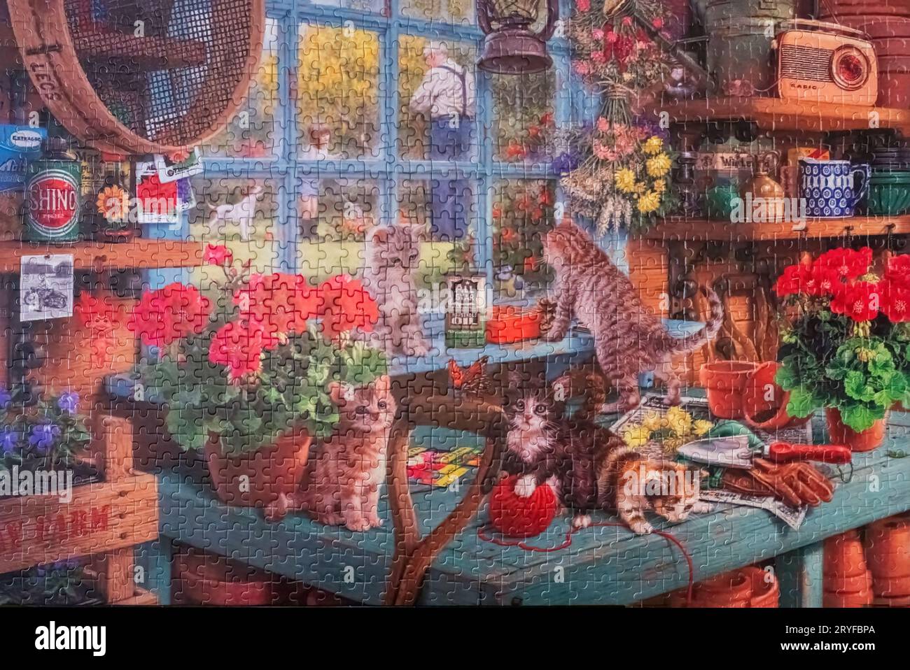 Puzzle terminé de chatons curieux explorant un abri de jardin vintage Banque D'Images