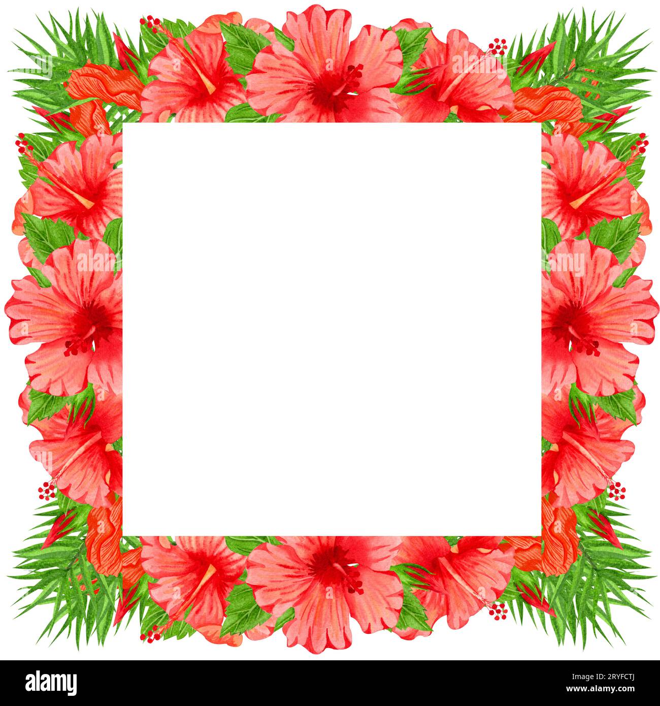 Cadre aquarelle avec fleurs d'hibiscus rouges. Bordure florale dessinée à la main avec des fleurs tropicales et des feuilles. Invitation de mariage Banque D'Images Cadre aquarelle avec fleurs d'hibiscus rouges. Bordure florale dessinée à la main avec des fleurs tropicales et des feuilles. Invitation de mariage Banque D'Images