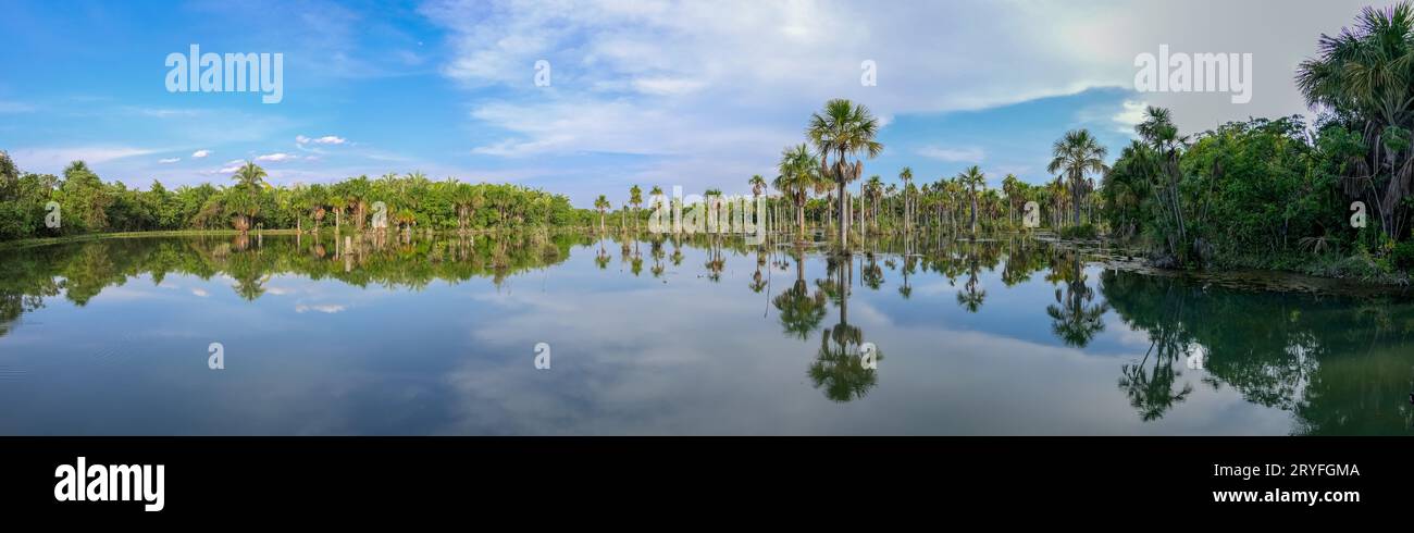 Panorama des Paradieses naturelles Lagoa das Araras (lagune d'Ara) à BOM Jardim, Mato Grosso, Brésil Banque D'Images