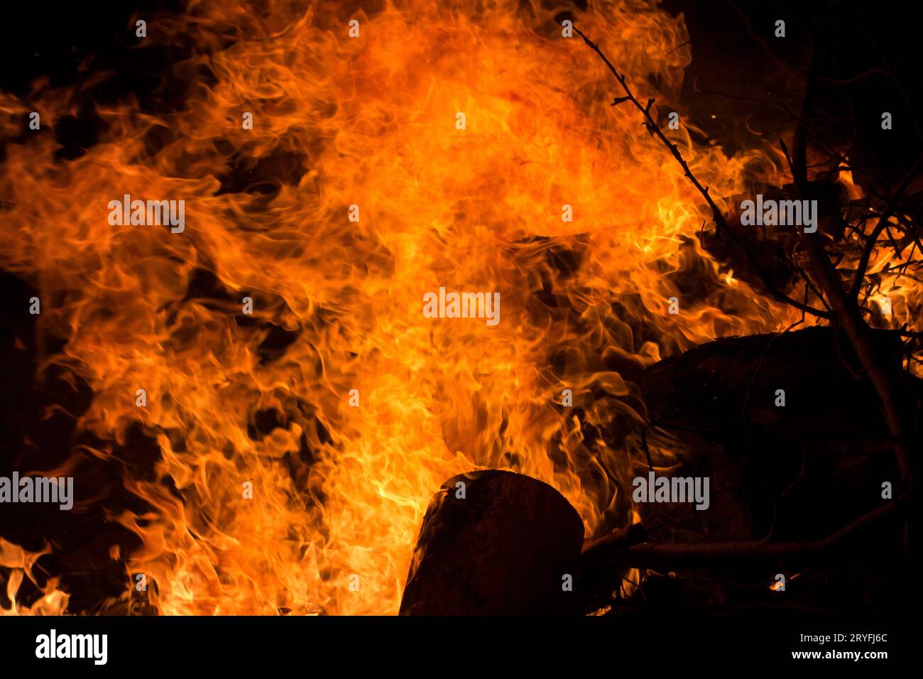 Les flammes d'un feu Banque D'Images