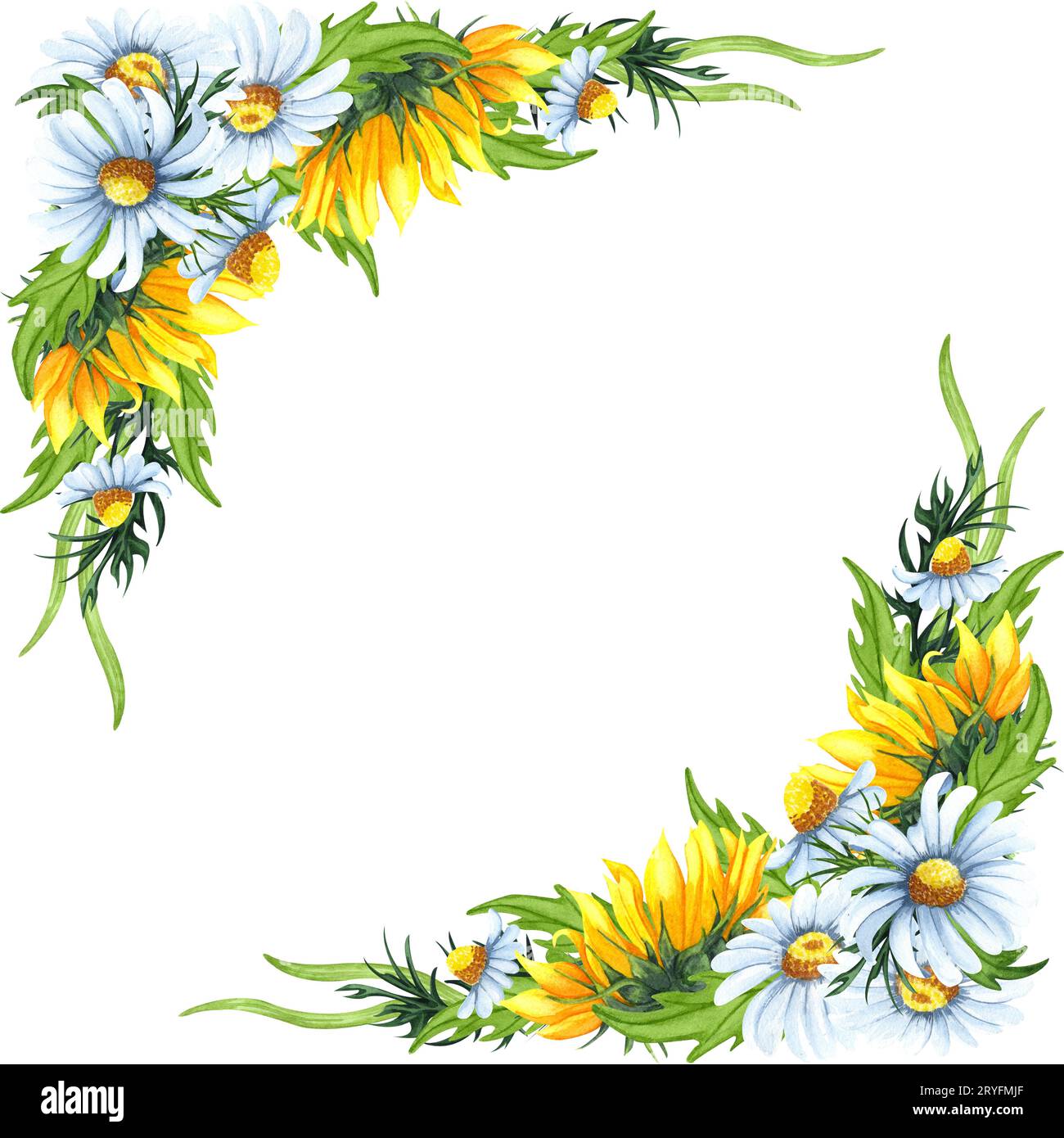 Couronne florale aquarelle avec tournesols, camomilles, feuilles, feuillage, branches, feuilles de fougère et place pour votre texte. Parfait pour Banque D'Images