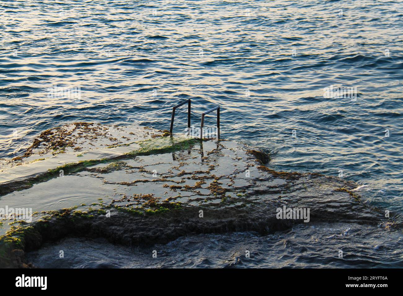Une roche recouverte d'algues dans la mer méditerranée à Anfeh, Liban. Banque D'Images