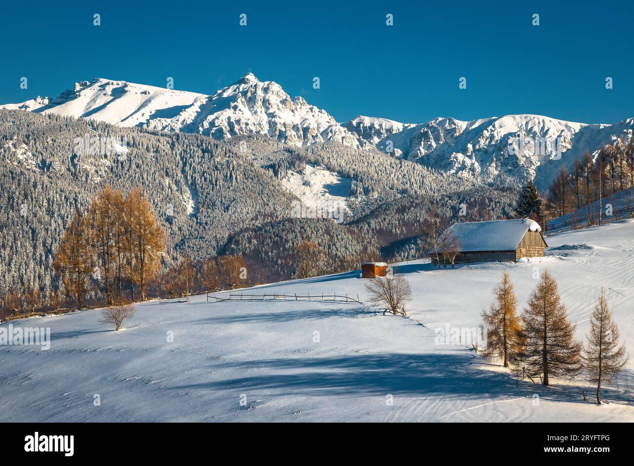 Paysage d'hiver pittoresque avec cabane en bois enneigée sur la pente et de spectaculaires hautes montagnes en arrière-plan, montagnes Bucegi, Carpates, Roma Banque D'Images