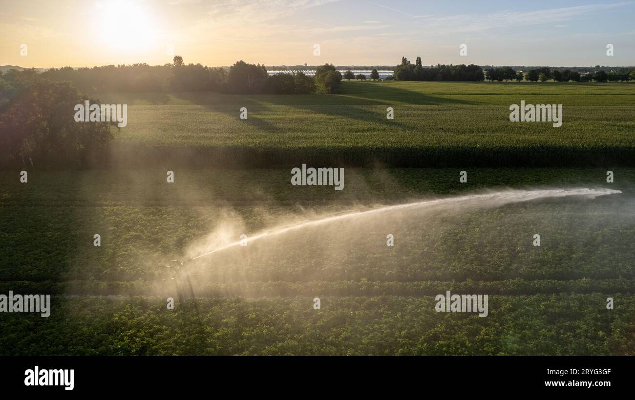 Vue aérienne par un drone d’un champ agricole en cours d’irrigation par un gigantesque et puissant système d’irrigation Banque D'Images