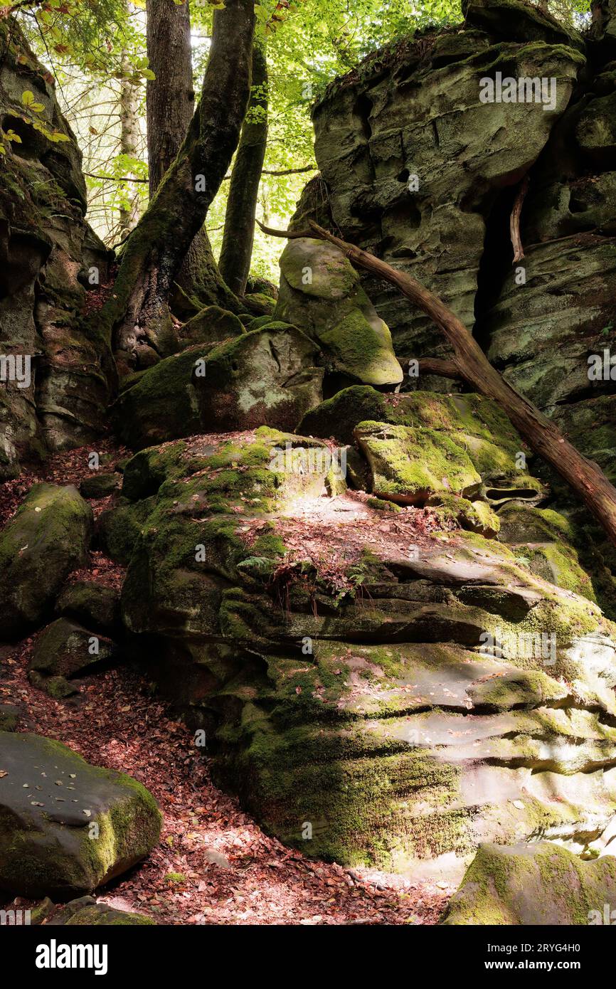 Formation rocheuse et paysage boisé à l'intérieur du Luxembourg à Mullerthal Banque D'Images