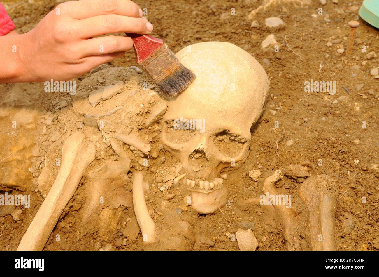 Archéologie au cimetière ou au cimetière Banque D'Images