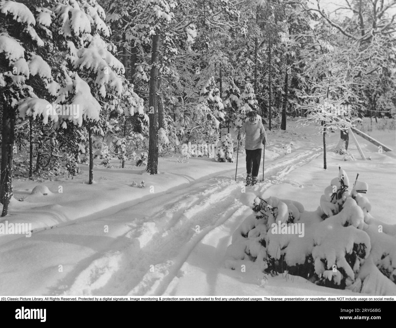 Le ski de fond dans les années 1930 Un homme âgé fait du ski de fond le long d'un chemin dans la forêt. Un exercice approprié par une belle journée d'hiver dans les années 1930 Il est vêtu d'un pantalon et d'un pull tricoté avec une casquette sur la tête. Suède en 1930. Banque D'Images