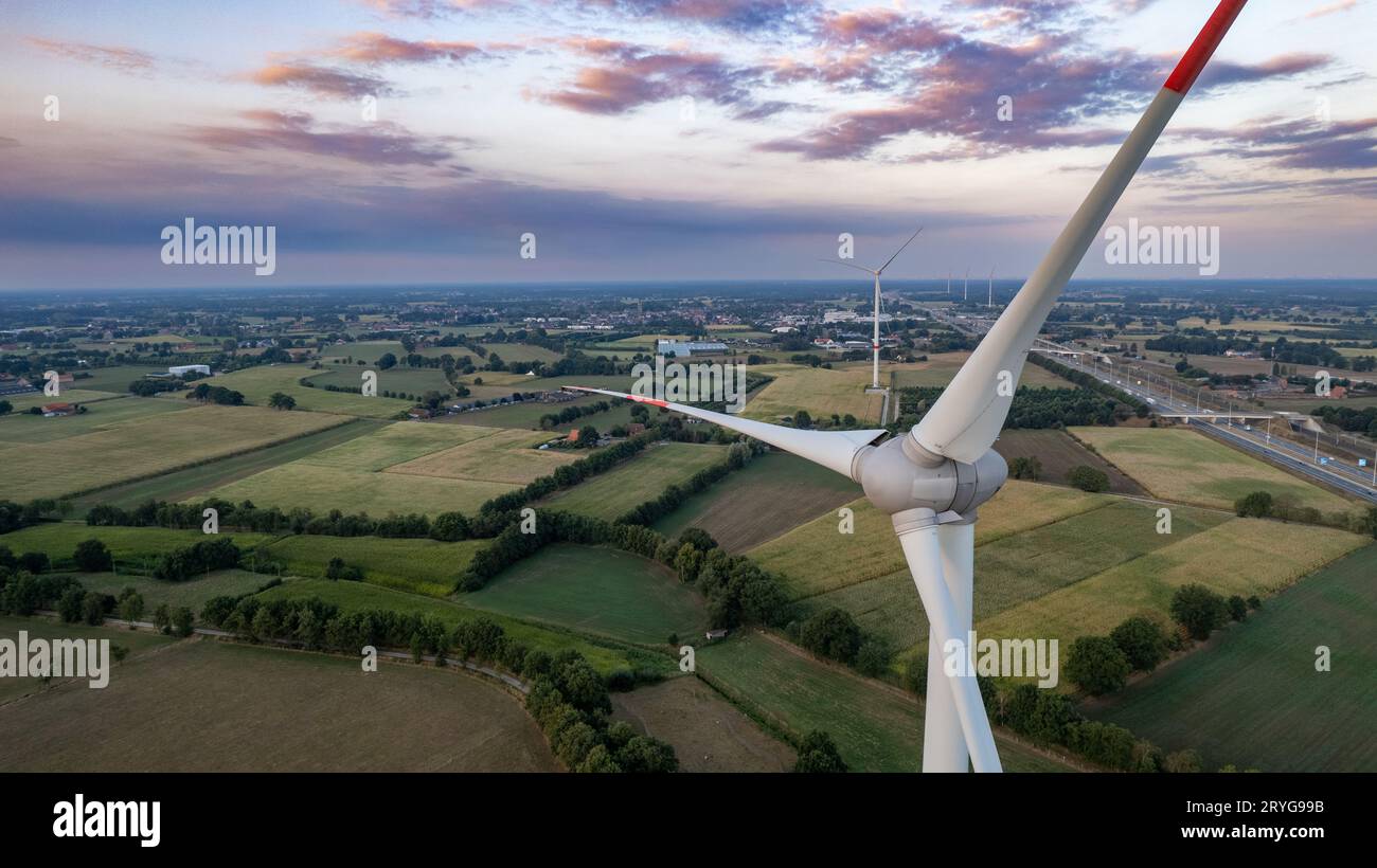 Éoliennes sur beau paysage agraire rural violet automne ensoleillé. Production d'énergie écologique verte. Vent fa Banque D'Images