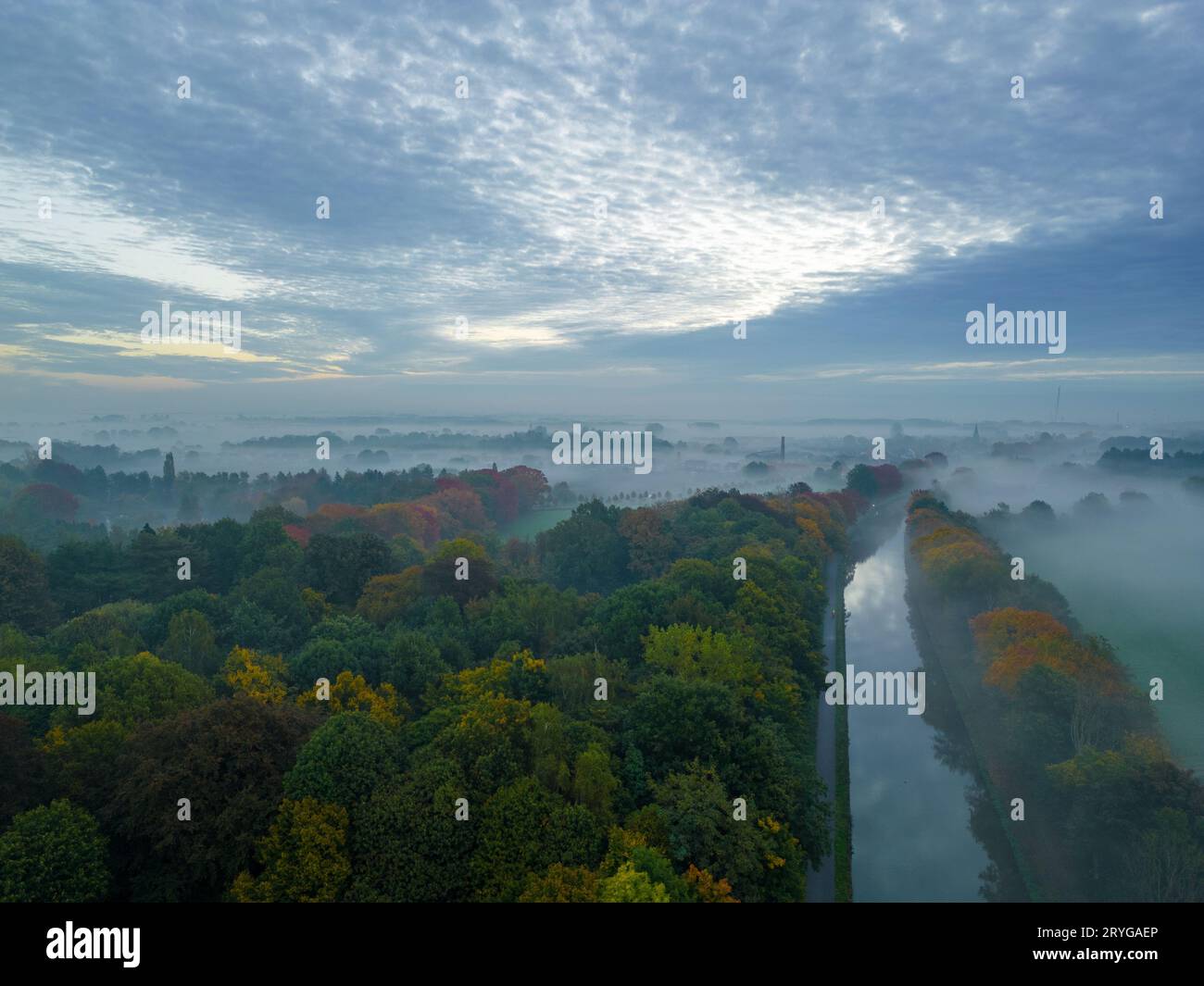Vue aérienne des arbres brumeux dans le champ au lever du soleil coloré en automne. Paysage coloré avec forêt dans les nuages bas, rivière, prairie i Banque D'Images