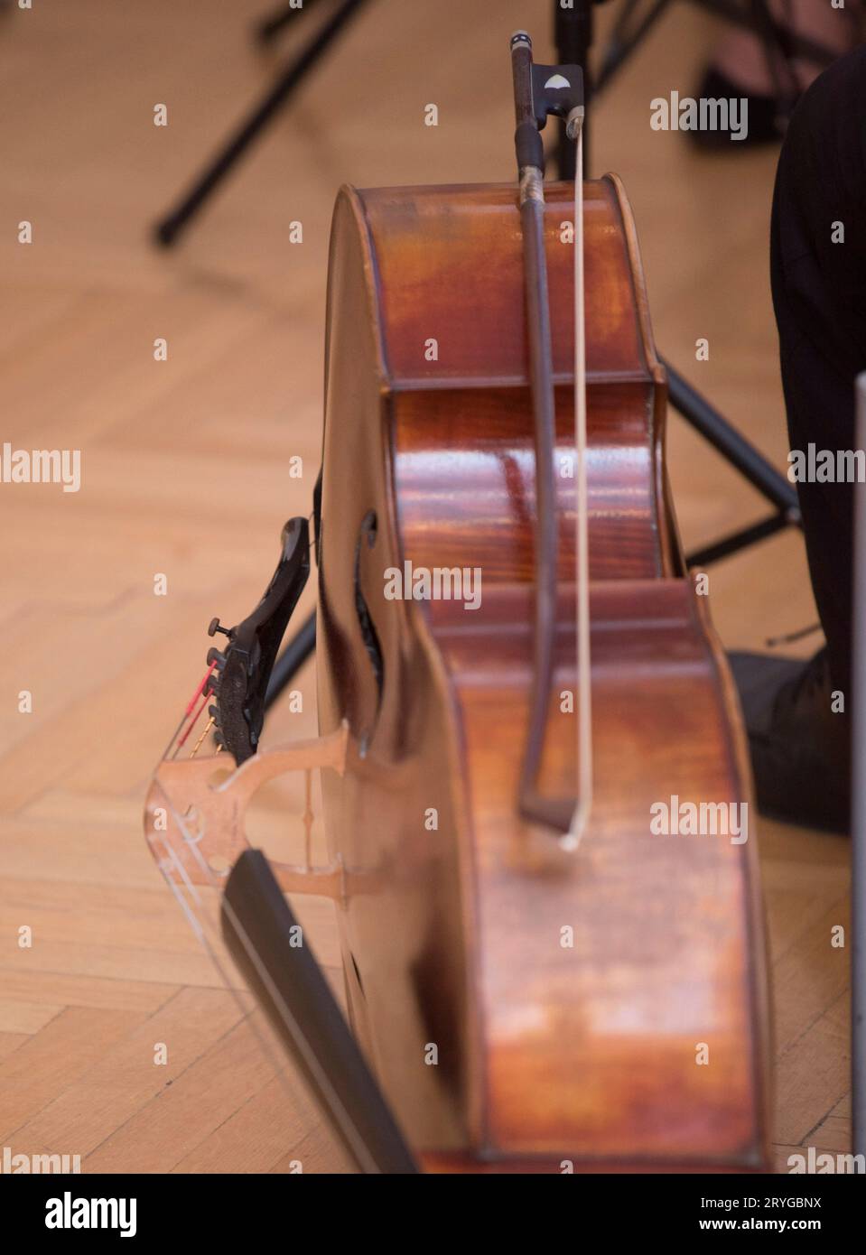Violoncelle ou violoncelle, instrument à cordes joué avec un arc Banque D'Images