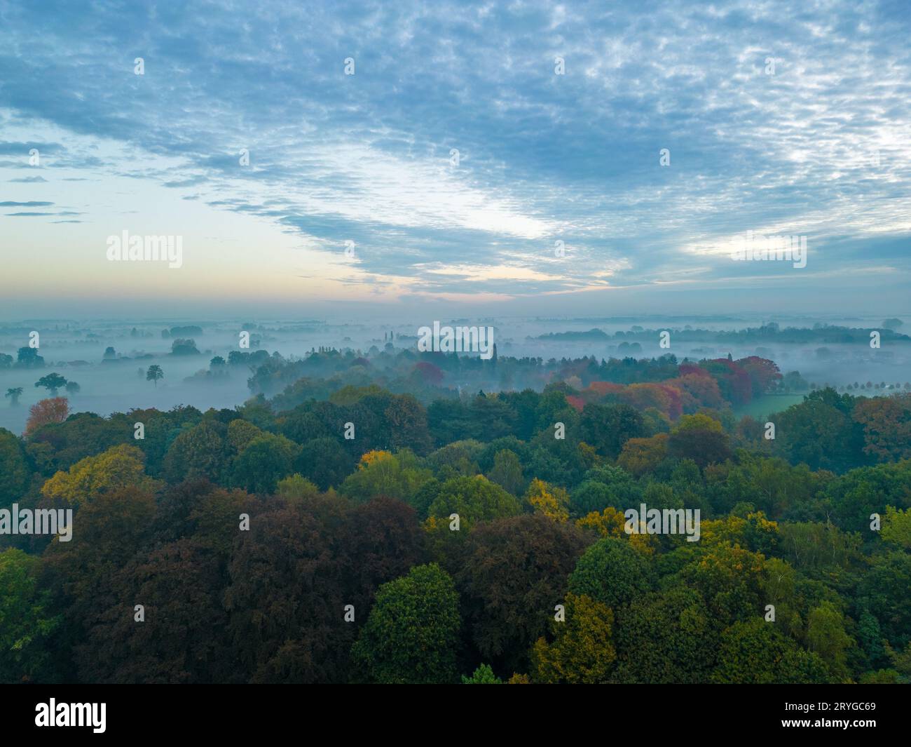 Vue aérienne des arbres brumeux dans le champ au lever du soleil coloré en automne. Paysage coloré avec forêt dans les nuages bas, rivière, prairie i Banque D'Images