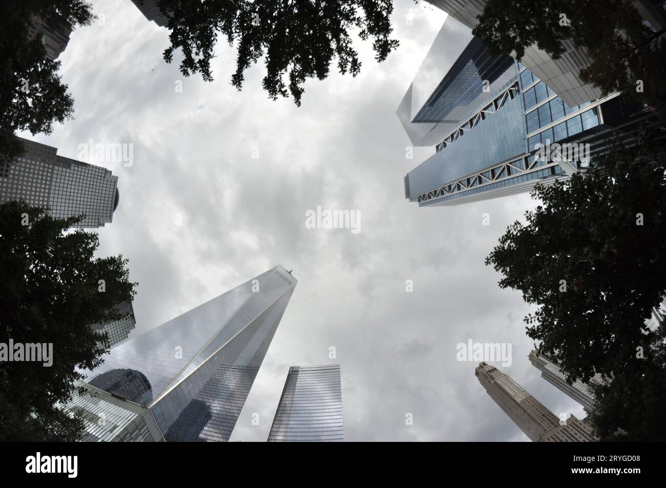 Magnifique photo en petit angle d'un World Trade Center qui s'élève dans le ciel Banque D'Images