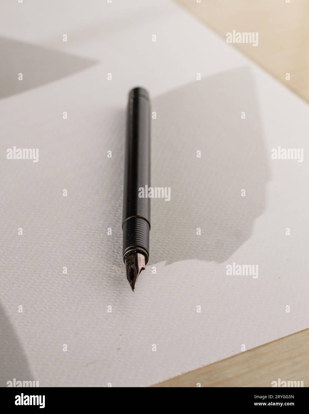 stylo plume sur papier blanc Banque D'Images