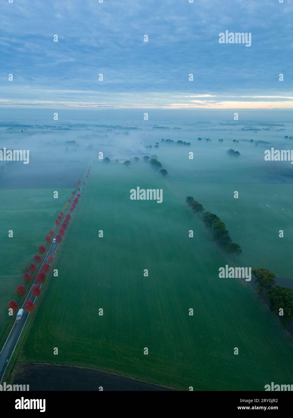 Vue aérienne des arbres brumeux dans le champ au lever du soleil coloré en automne. Paysage coloré avec forêt dans les nuages bas, rivière, prairie i Banque D'Images