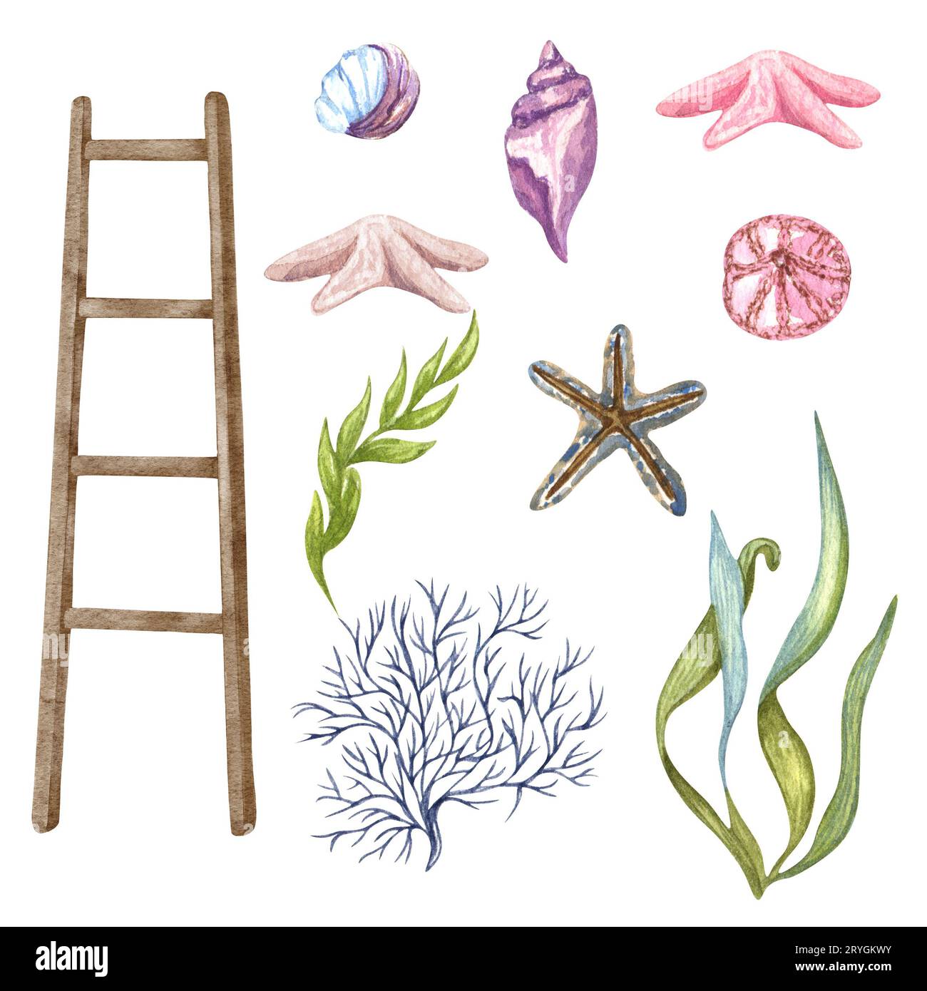 Magnifique ensemble nautique Aquarelle. Inclure phare, ancre, coraux, algues, baleine, obus, volant et anneau de bouée Banque D'Images