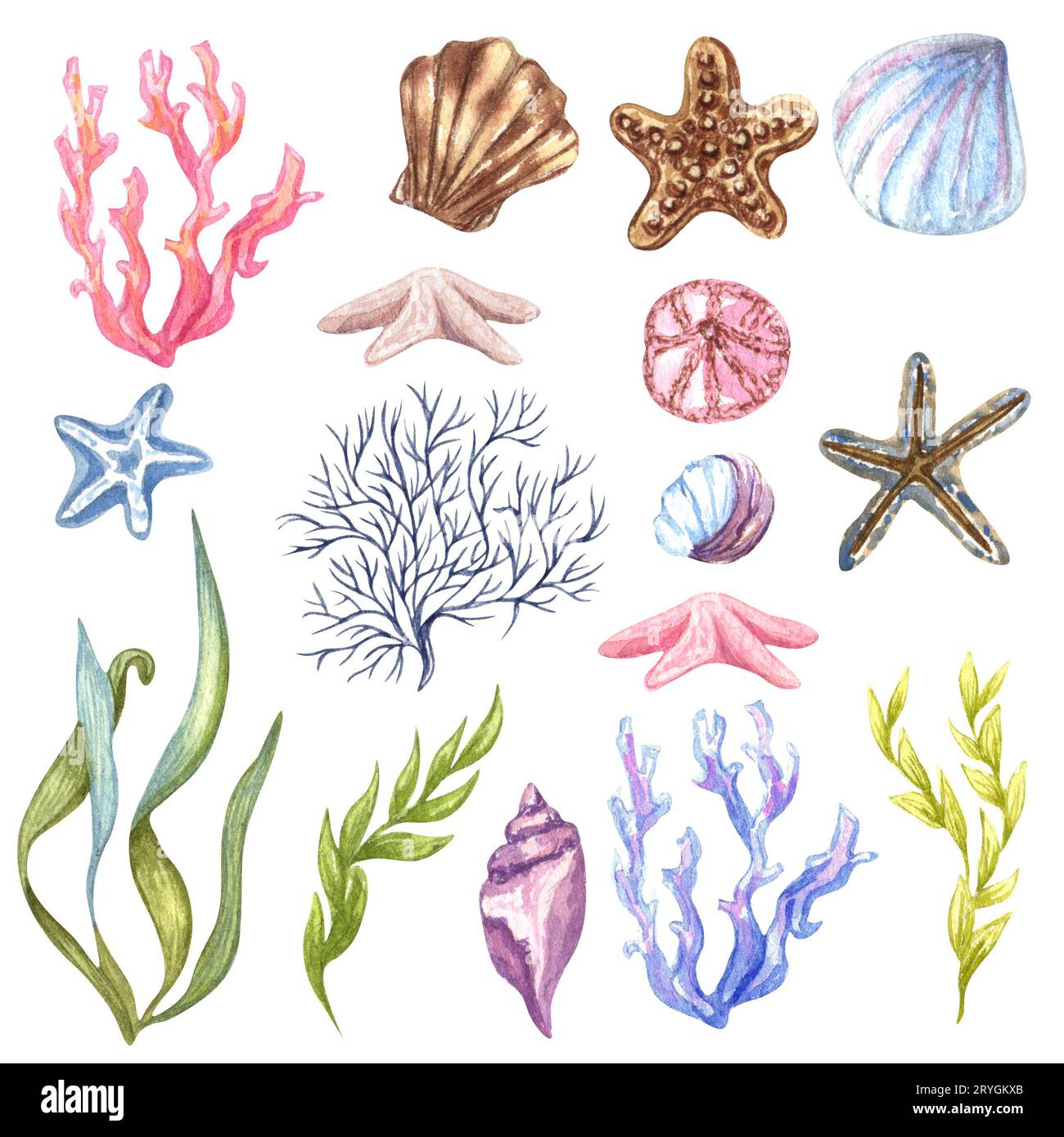 Magnifique ensemble nautique Aquarelle. Inclure phare, ancre, coraux, algues, baleine, obus, volant et anneau de bouée Banque D'Images