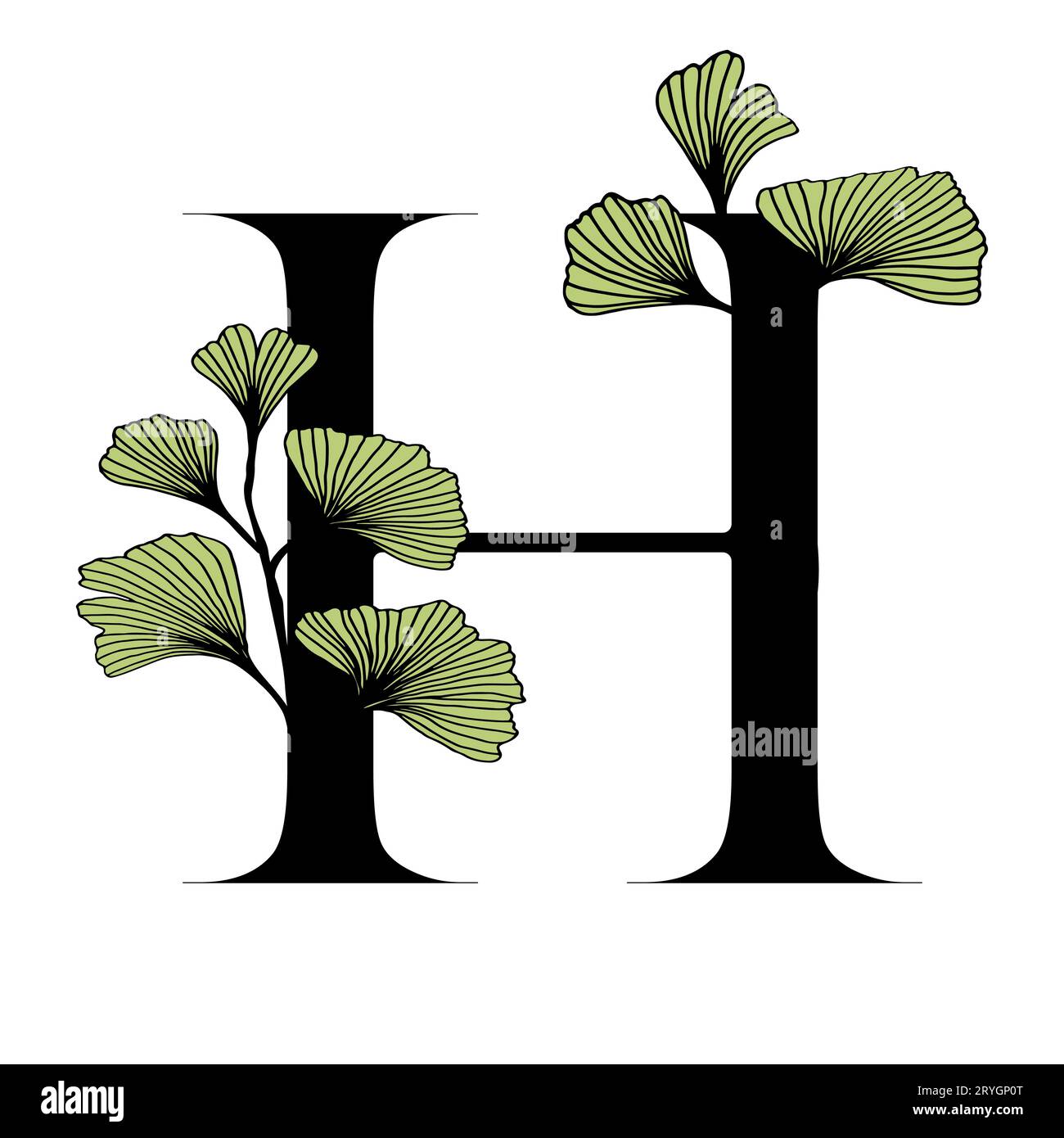 Ginkgo biloba feuilles alphabet H. badge et icône dans un style linéaire dessiné à la main à la mode. Vector logo Emblem lettre et branche de ginkgo. Illustration pour cosme Illustration de Vecteur
