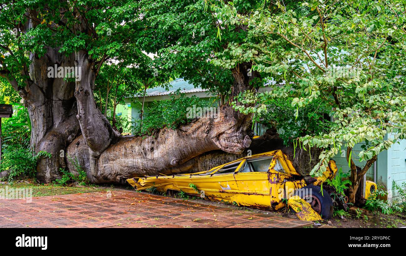 L'ouragan a frappé la Dominique dans les Caraïbes Banque D'Images
