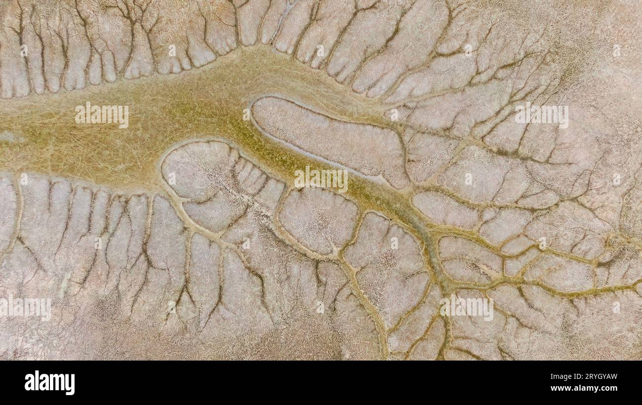 L'effet de l'assèchement du lac pendant la saison estivale des conditions météorologiques extrêmes et de la vague de chaleur, des changements climatiques et de l'effet de sécheresse Banque D'Images