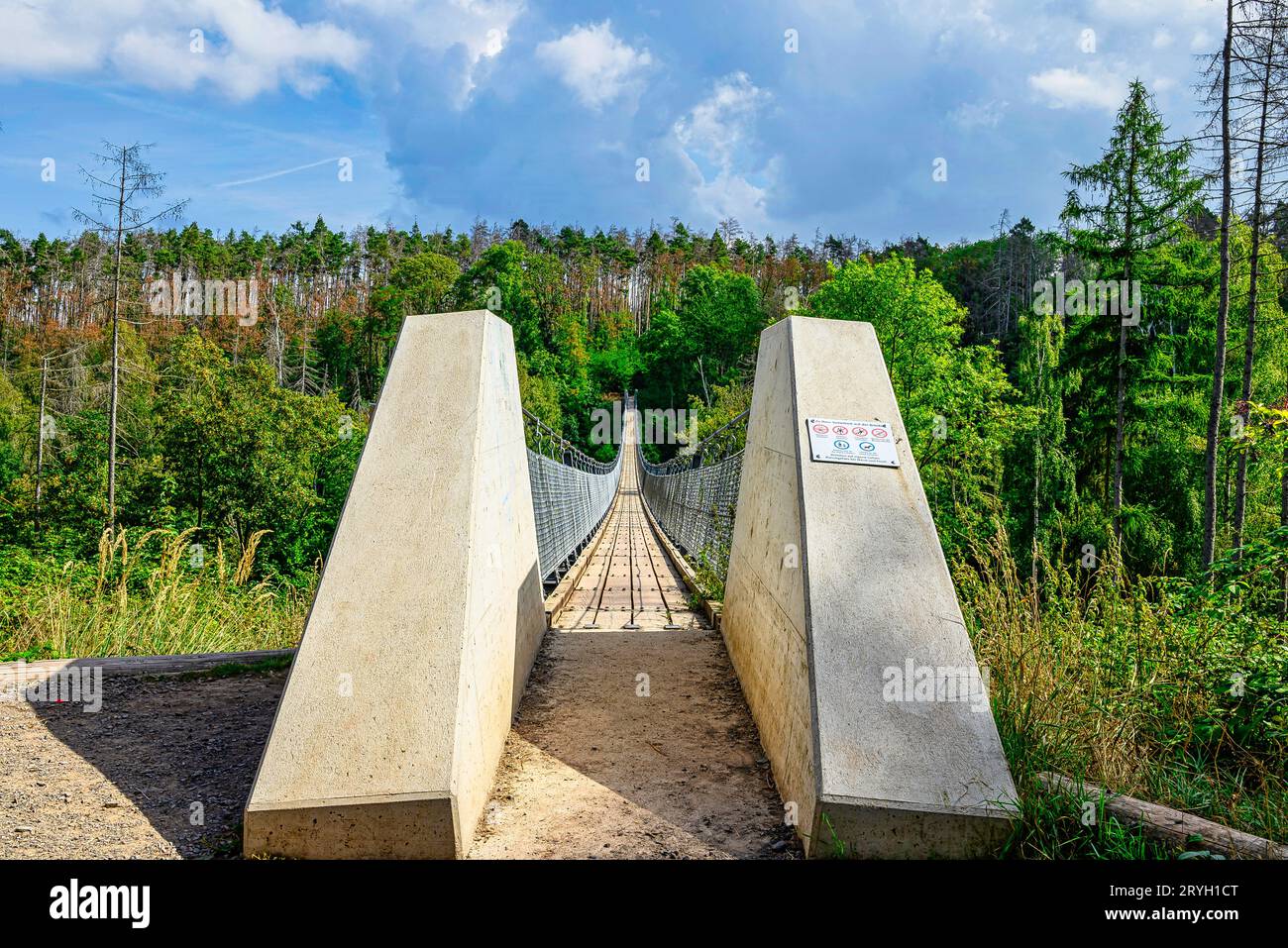 Vue sur le pont suspendu Hohen Schrecke Banque D'Images