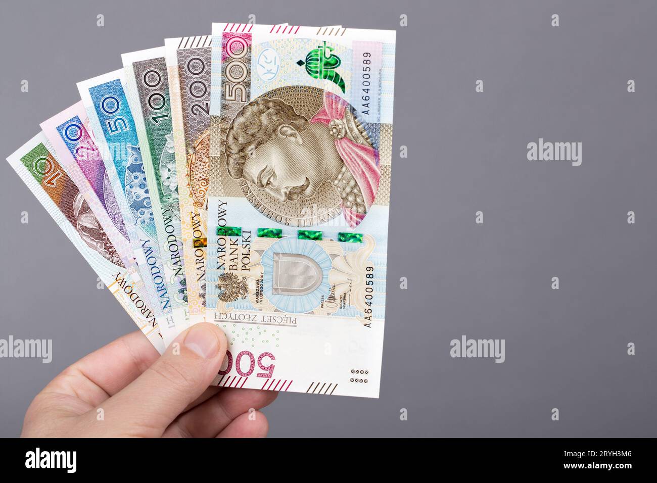 Polish Zloty dans la main sur un fond gris Banque D'Images