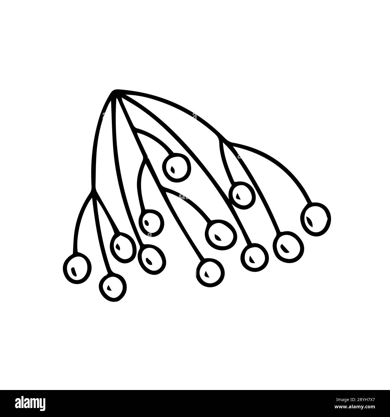 Esquisse de vecteur de branche de baies de cendre Illustration de Vecteur