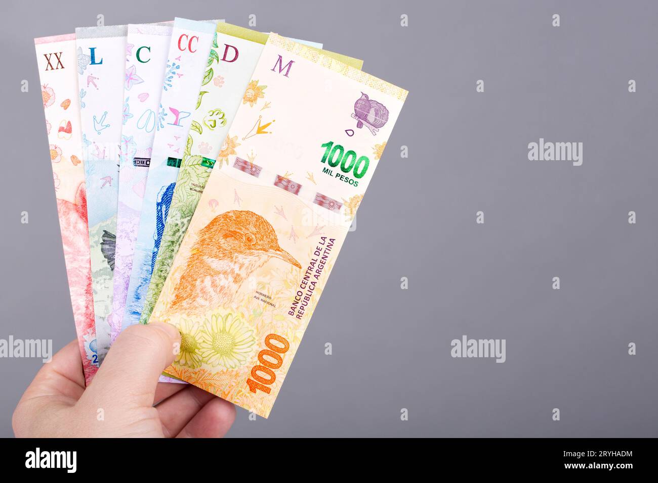 argentine-peso-banque-de-photographies-et-d-images-haute-r-solution