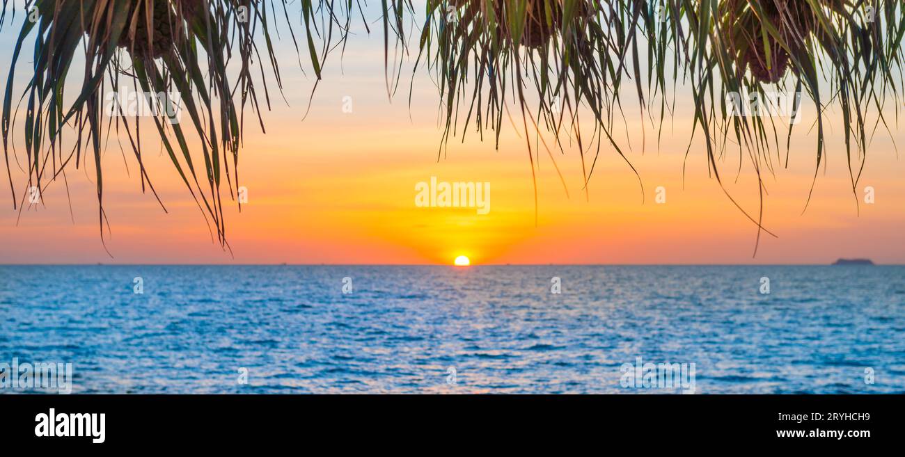 Coucher de soleil sur mer et feuilles de palmier Banque D'Images