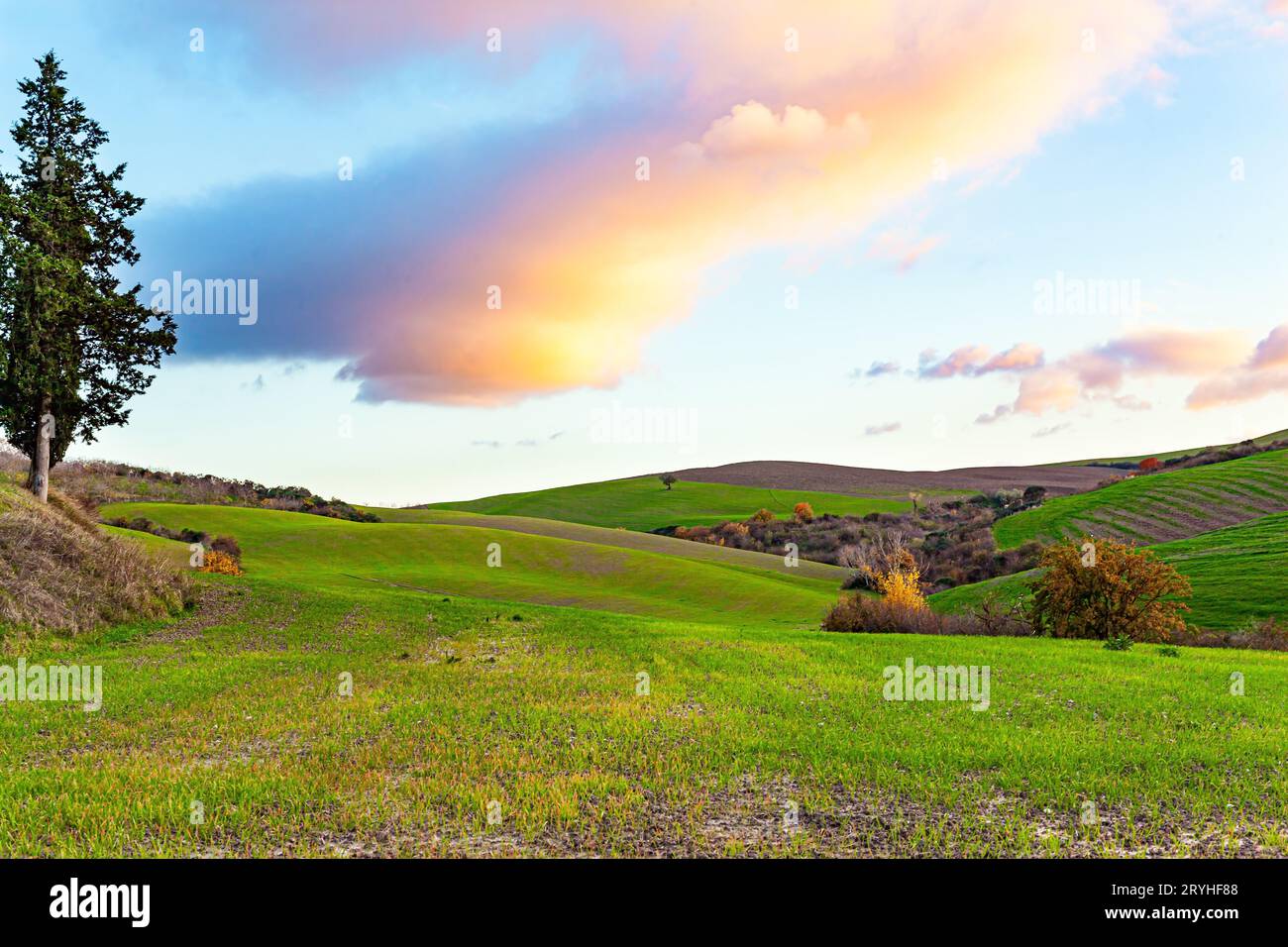 Toscane. Couleurs vertes Banque D'Images